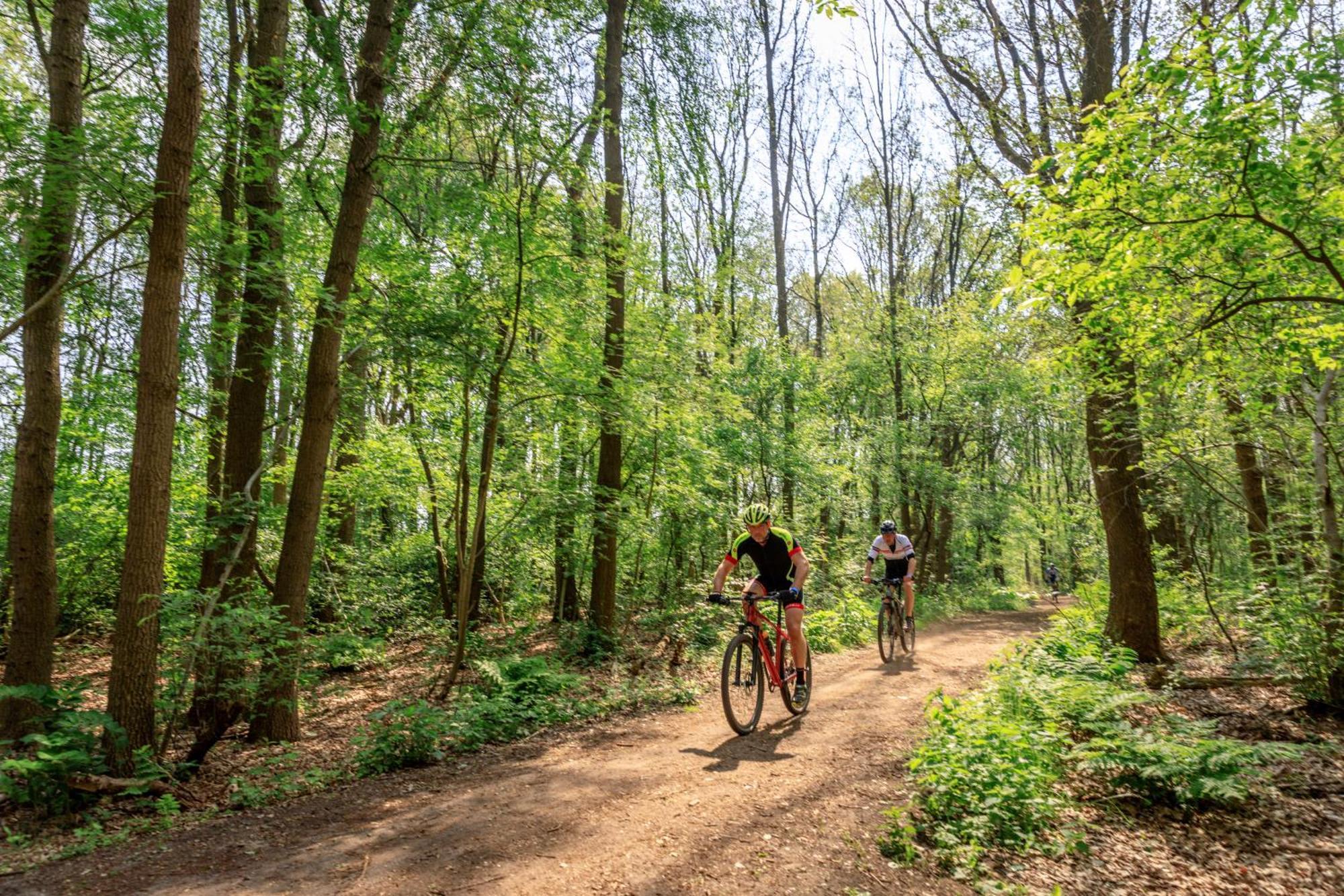 Camping De Reeenwissel Hoogersmilde Exteriér fotografie